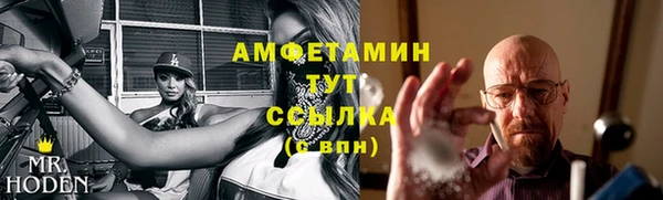 прущие грибы Зеленодольск