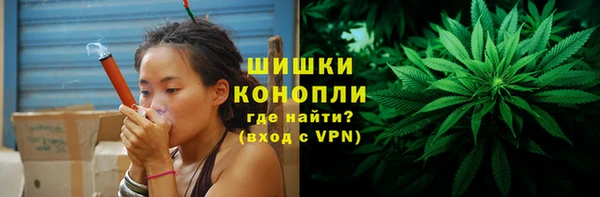стафф Инта