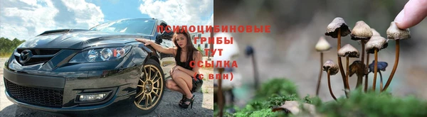 спайс Инсар