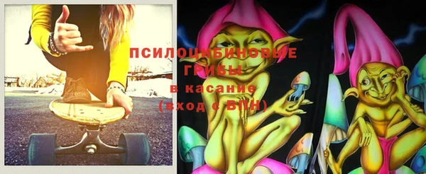 шишки Иннополис
