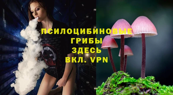 спайс Инсар