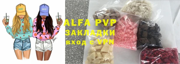 стаф Зеленокумск